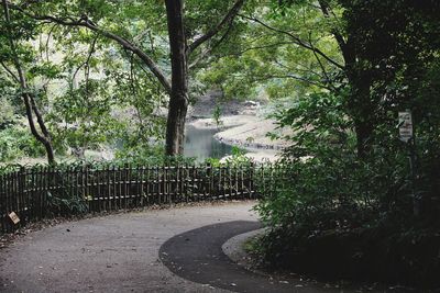 Footpath amidst trees in park