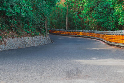 Empty road in forest