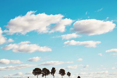 Low angle view of trees against sky