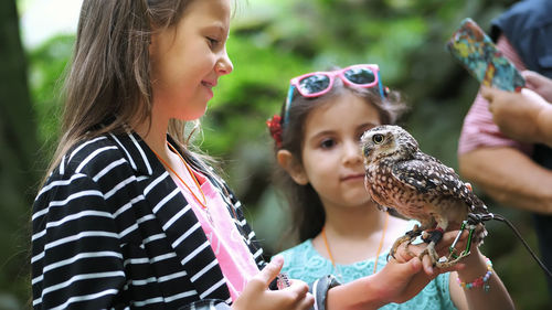 Domestic owl. girl holding on hand and strokes a small motley owl. close-up. in the forest