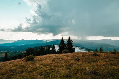 Scenic view of landscape against sky