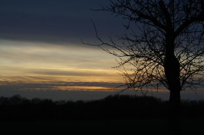Silhouette bare tree against sky during sunset