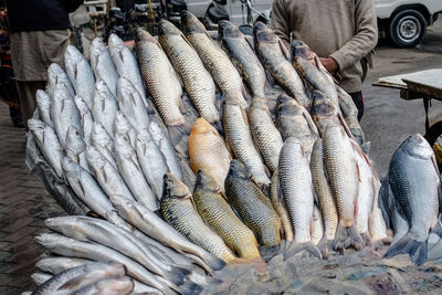 View of fish for sale at market stall