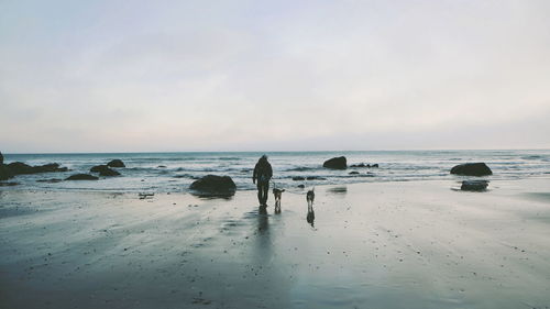 Man with dogs against sky