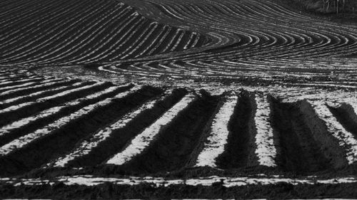 High angle view of agricultural field