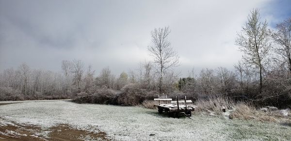 Bare trees on snowy field against sky during winter