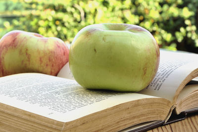 Close-up of open book on table