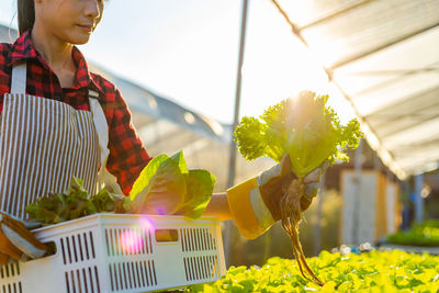 Midsection of woman holding flowering plants