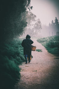 Rear view of man walking by plants