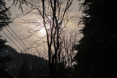 Low angle view of silhouette trees against sky at sunset