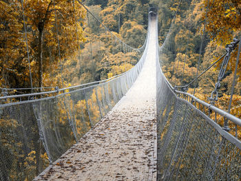 Footbridge amidst autumn trees in forest