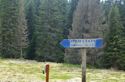 Information sign on road amidst trees