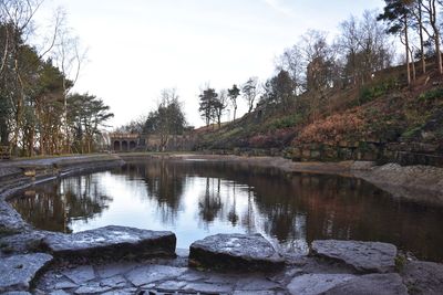 Scenic view of lake in forest against sky