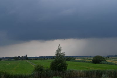 Scenic view of field against sky