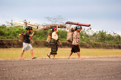 Side view of women carrying firewood while walking on land