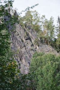 Low angle view of rocks in forest against sky