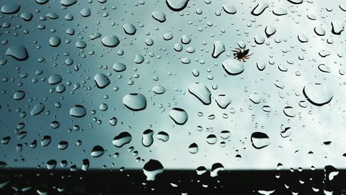 Full frame shot of raindrops on window