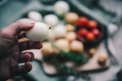 Close-up of person holding apple