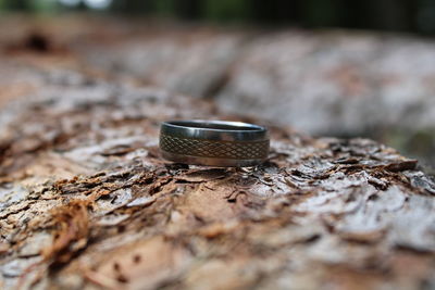 Close-up of wood on rock