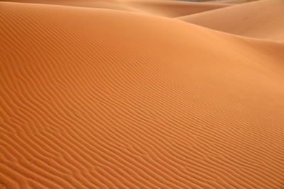 Full frame shot of sand dune