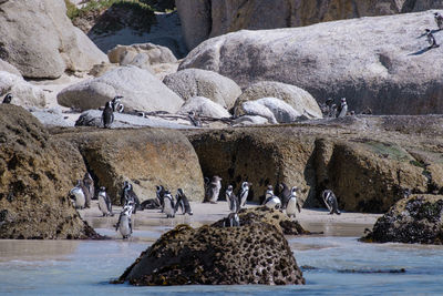 Group of men in sea