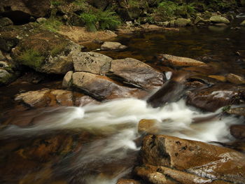 Stream flowing through rocks in forest