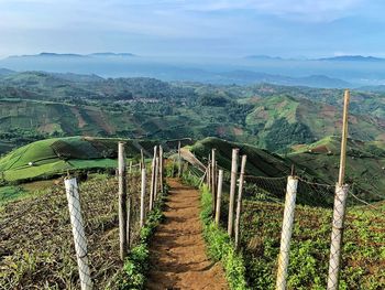 Scenic view of agricultural landscape against sky