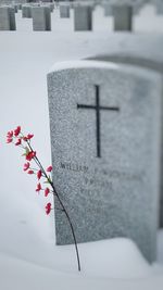 Close-up of snow on cemetery