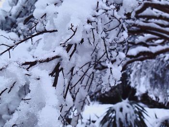 Full frame of snow covered rocks