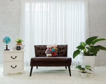 Potted plants on sofa at home