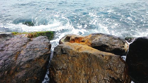 Rocks on sea shore