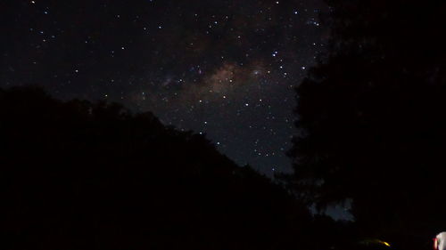 Low angle view of silhouette trees against sky at night