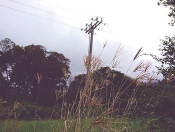 Low angle view of electricity pylon on field against sky