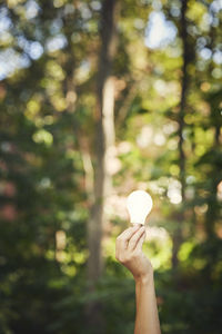 Hand holding lightbulb