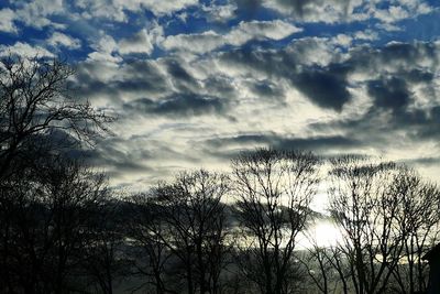 Low angle view of silhouette trees against sky