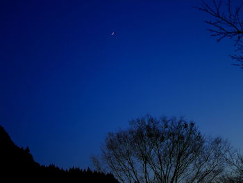 Low angle view of silhouette tree against clear blue sky