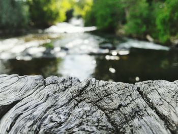 Close-up of wood