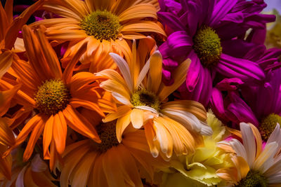 Full frame shot of yellow flowers