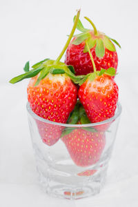 Close-up of strawberries in glass against white background