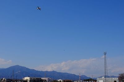 Low angle view of airplane flying against blue sky