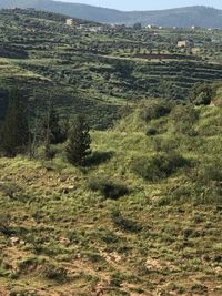 Scenic view of landscape