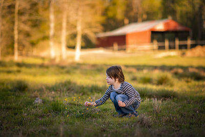 A small young boy picking wildflowers on a farm