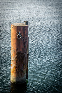 Close-up of beer in water