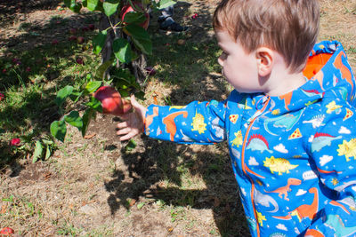 Full length of boy holding fruit on plant