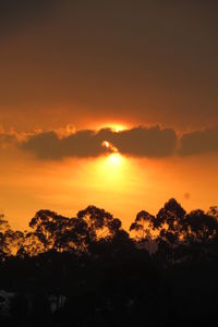 Silhouette trees against dramatic sky during sunset