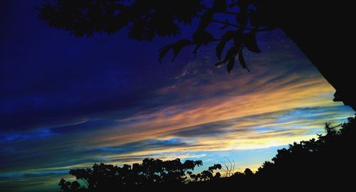 Low angle view of trees against sky