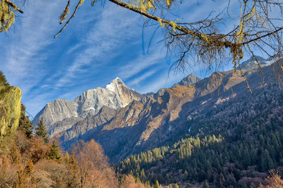 View of trees and mountain range against cloudy sky