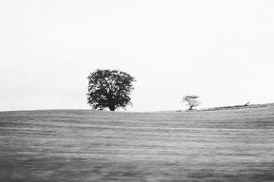 Trees on landscape against clear sky