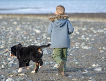 Full length of a dog standing on beach