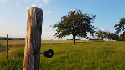 View of wooden post on field against sky